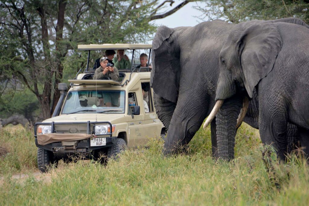 7days-lodge-safari-in-tanzania