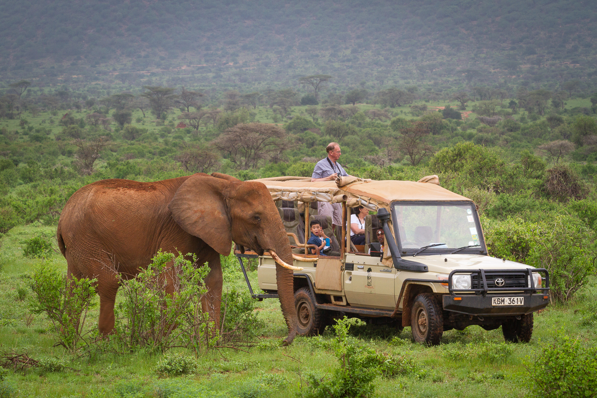 elephant_bedroom_camp_-_samburu_45_